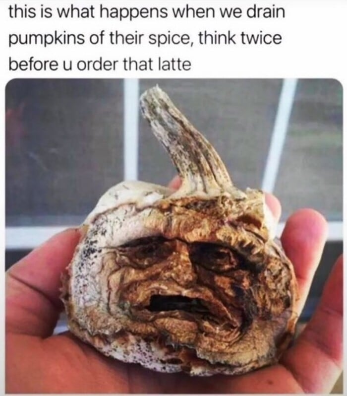 Halloween Memes - pumpkin drained of spice