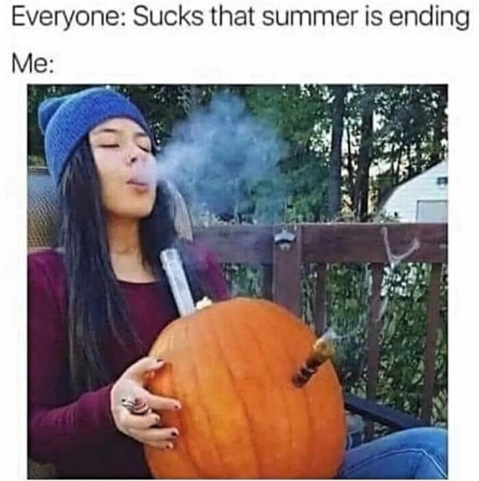 Halloween Memes - summer is ending