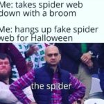 Halloween Memes - spider web