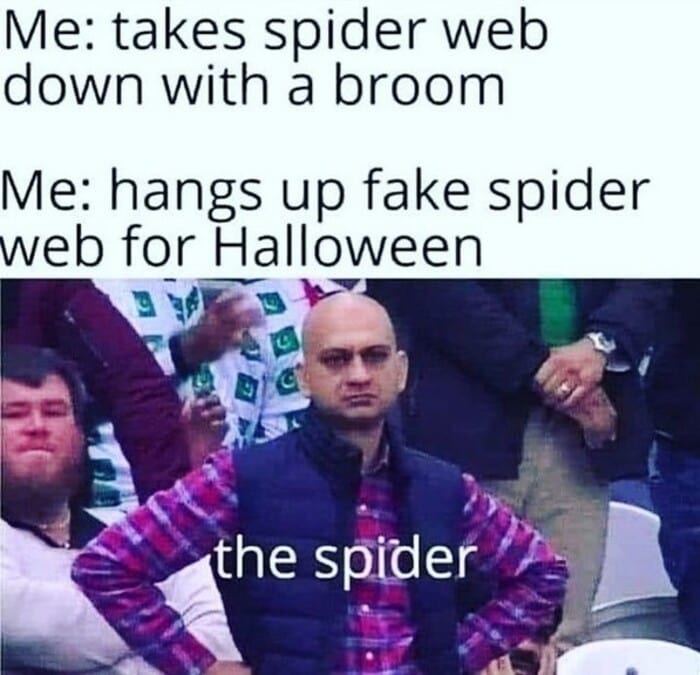Halloween Memes - spider web