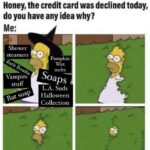 Halloween Memes - declined credit card