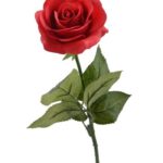 Morticia Addams Costume - A Rose