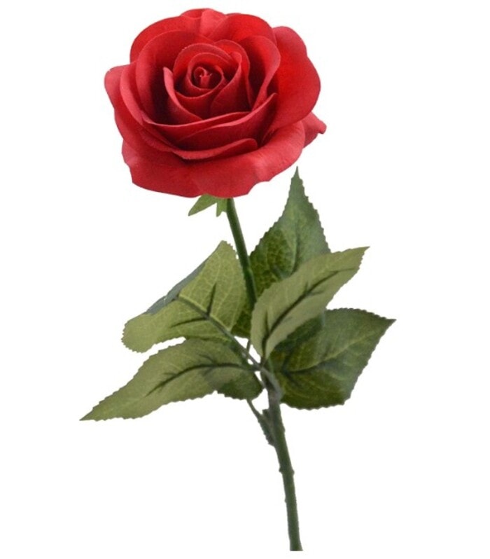 Morticia Addams Costume - A Rose