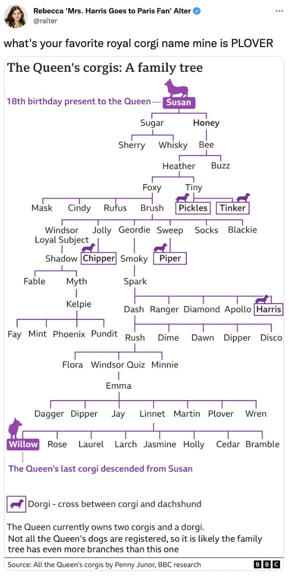 Queen Elizabeth Corgi Memes - queen's corgi family tree
