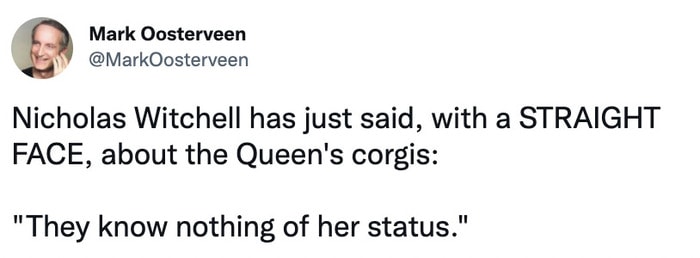Queen Elizabeth Corgi Memes - corgis don't know about the queen