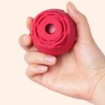 Rose Vibrator Review