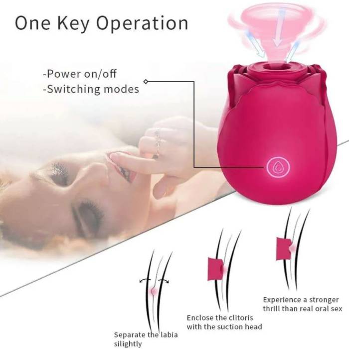 Rose Vibrator Review - diagram