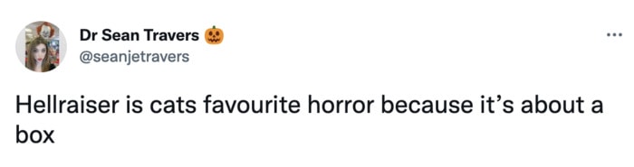 Hellraiser Memes Tweets - cats favorite horror movie