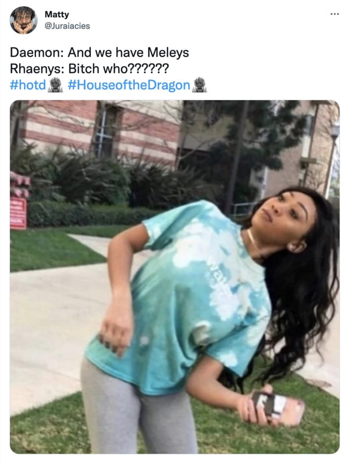 House of the Dragon Finale Memes Tweets - meleys