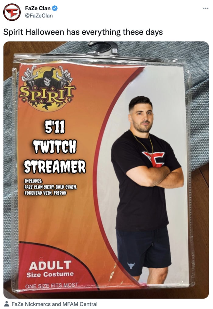 Spirit Halloween Costume Memes - Twitch Streamer