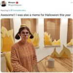 Meme Costumes - This Is Fine Dog Costume
