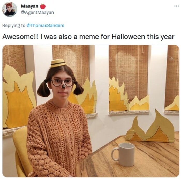 Meme Costumes - This Is Fine Dog Costume