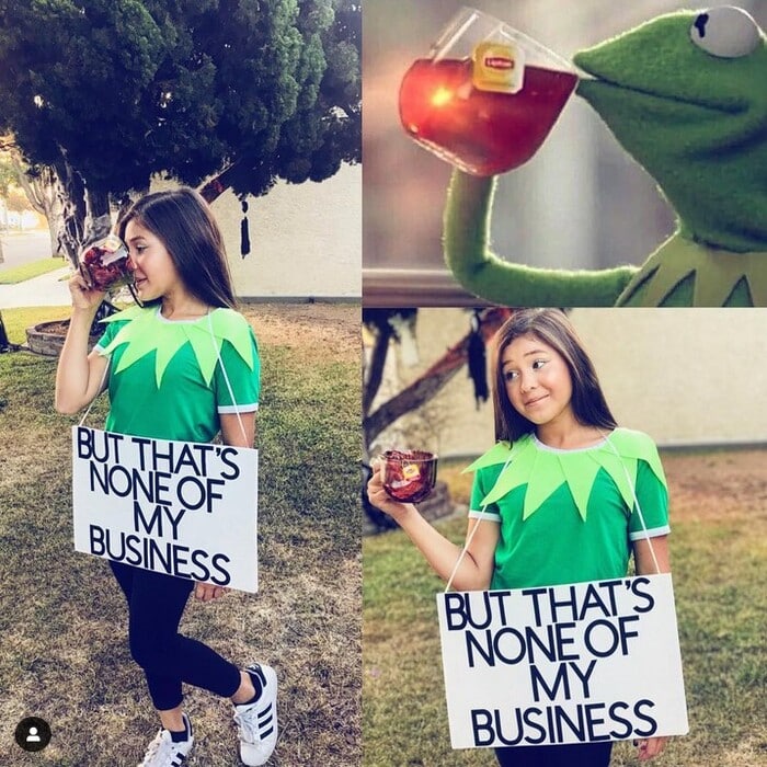 Meme Costumes - But That’s None Of My Business Kermit Meme Costume