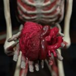 Skeleton Jokes - skeleton showing heart