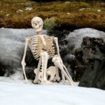 Skeleton Jokes - skeleton in the cold