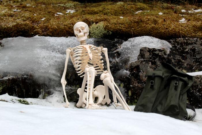 Skeleton Jokes - skeleton in the cold
