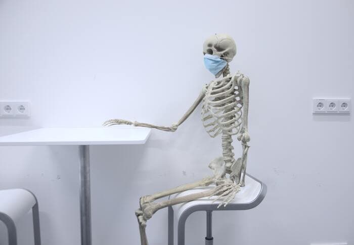 Skeleton Jokes - skeleton with face mask