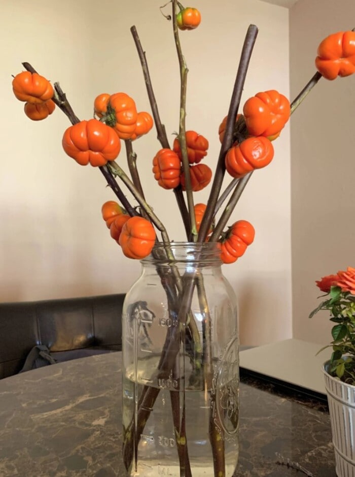 Trader Joe's Halloween Items - 5 Stem Pumpkin Trees