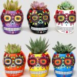 Trader Joe's Halloween Items - Succulent Skulls