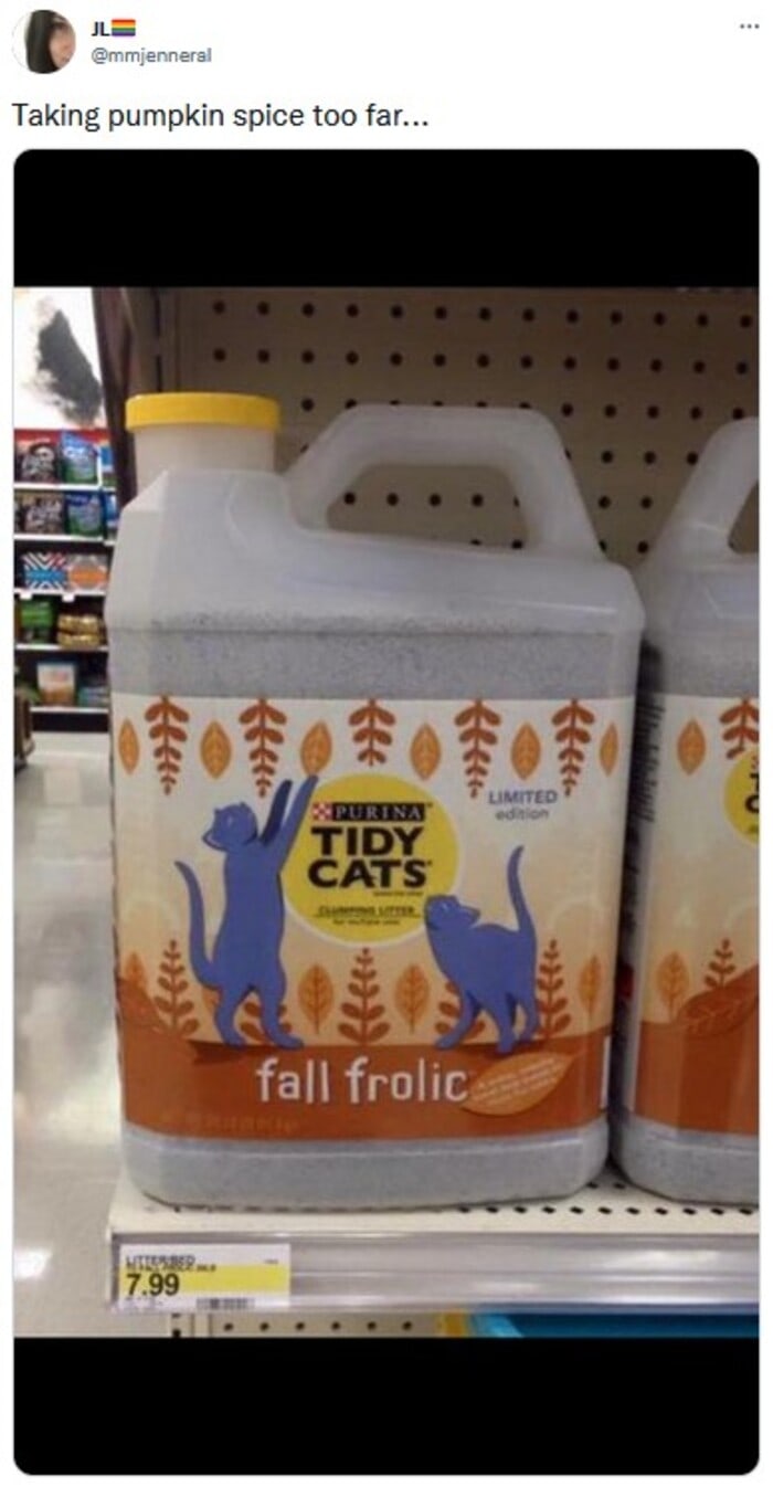 Weird Pumpkin Spice Products - Pumpkin Spice Cat Litter