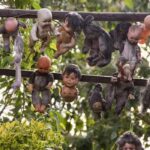 Weirdest Places On Earth - Island of the Dolls