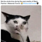 Black Panther Wakanda Forever Memes and Tweets - crying through post credits scene