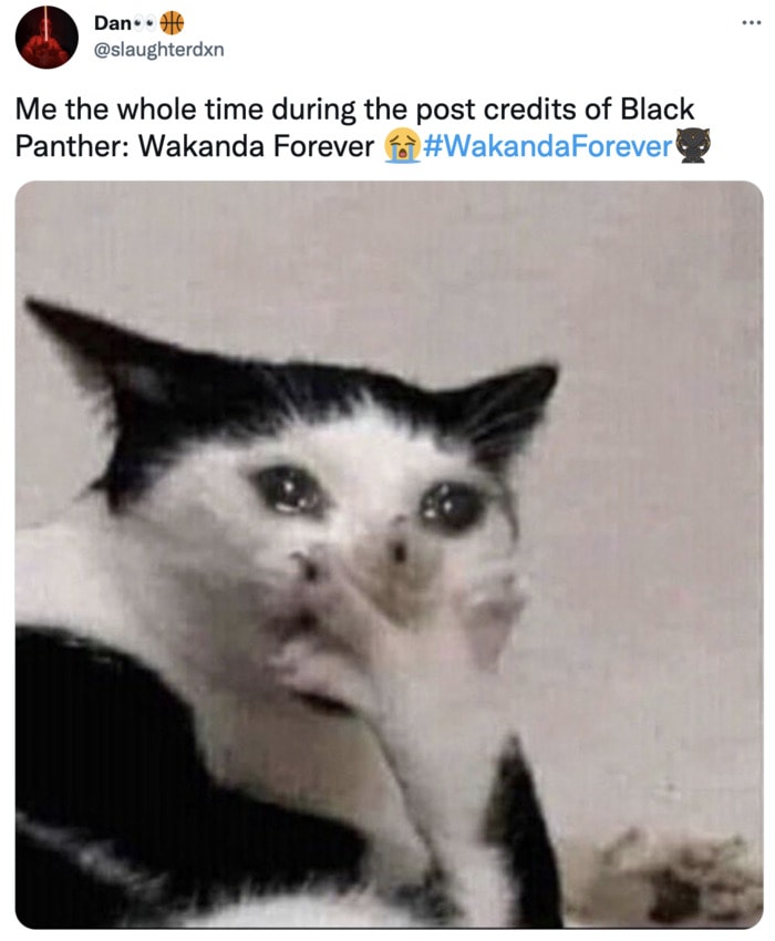 Black Panther Wakanda Forever Memes and Tweets - crying through post credits scene