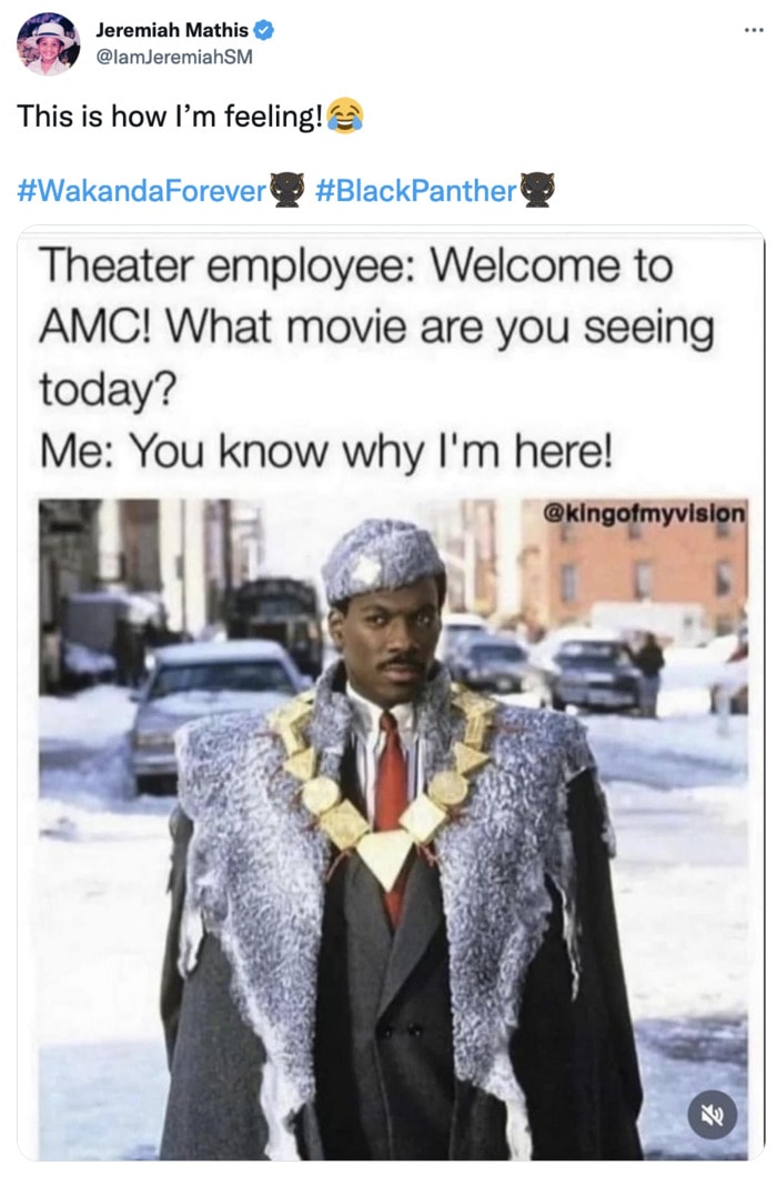 17 of the Best Tweets About Black Panther: Wakanda Forever - Let's Eat Cake 17 of the Best Tweets About Black Panther: Wakanda Forever - Let's Eat Cake