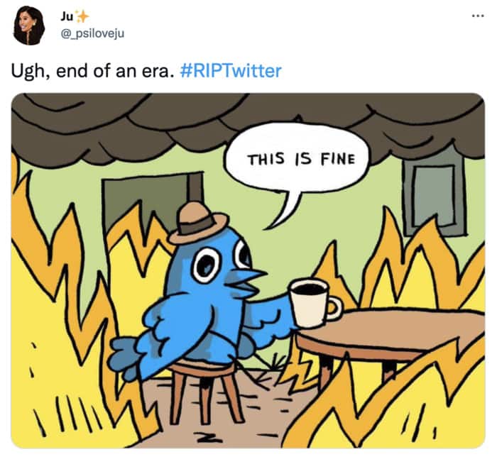 End of Twitter Memes Tweets - this is fine blue bird