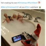 Bad Elf on the Shelf - Branching Out