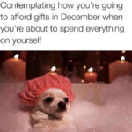 Black Friday Memes - dog in bath
