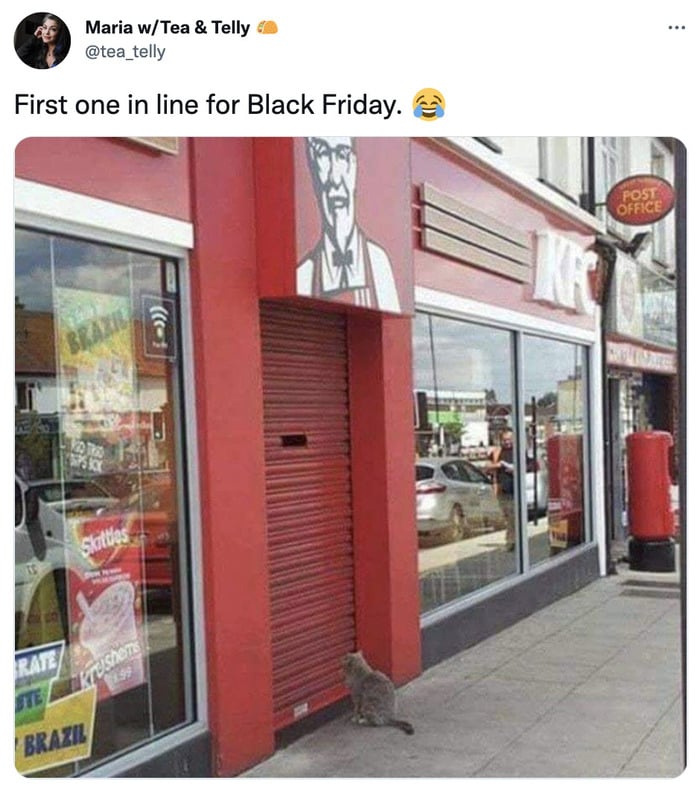 Black Friday Memes - cat in front of door