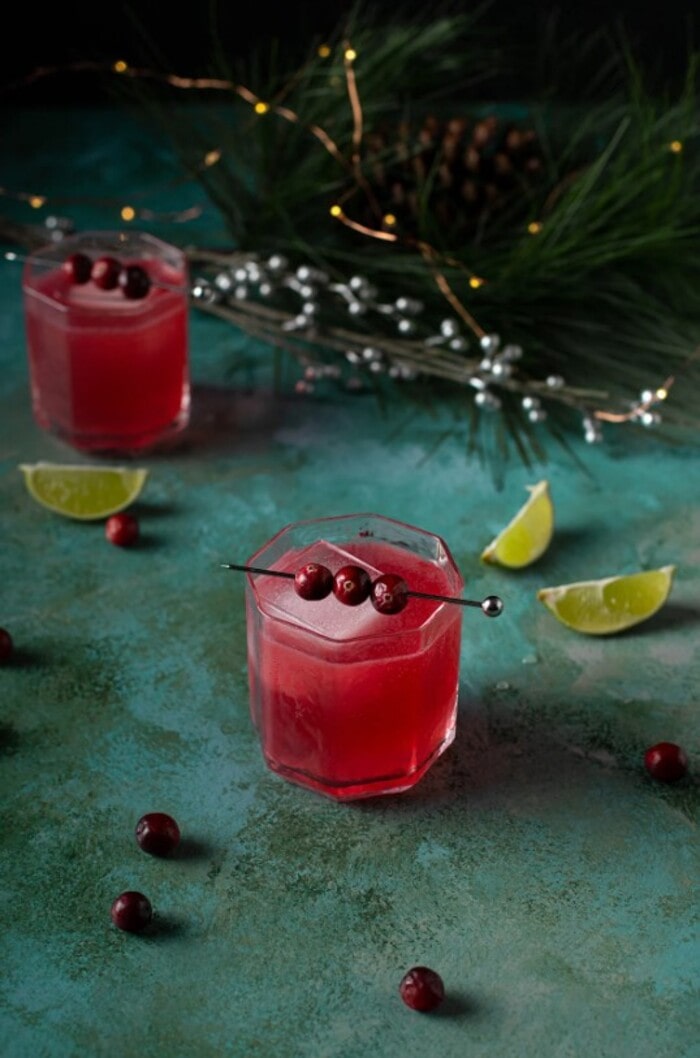 Christmas Cocktails - Cranberry Gin and Tonic