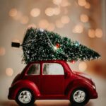 Christmas Puns Jokes - Christmas Tree On Top of a Car