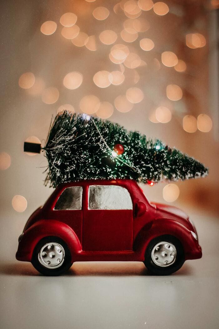 Christmas Puns Jokes - Christmas Tree On Top of Car