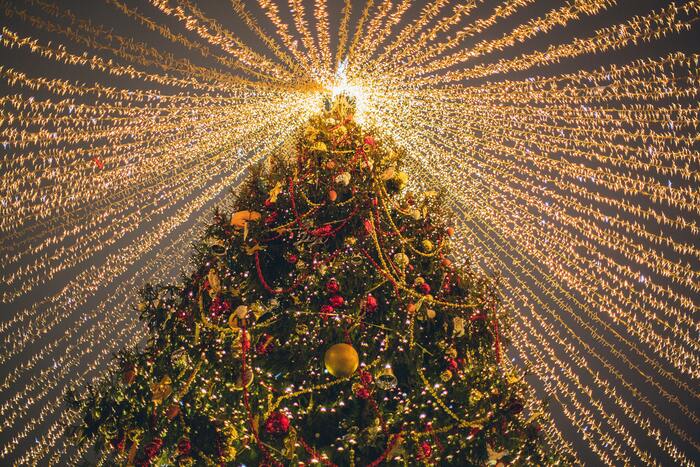 Christmas Puns Jokes - Christmas Tree