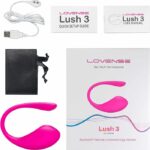 Lush 3 Vibrator Review - Lovense Lush 3 box, manual, charger and bag