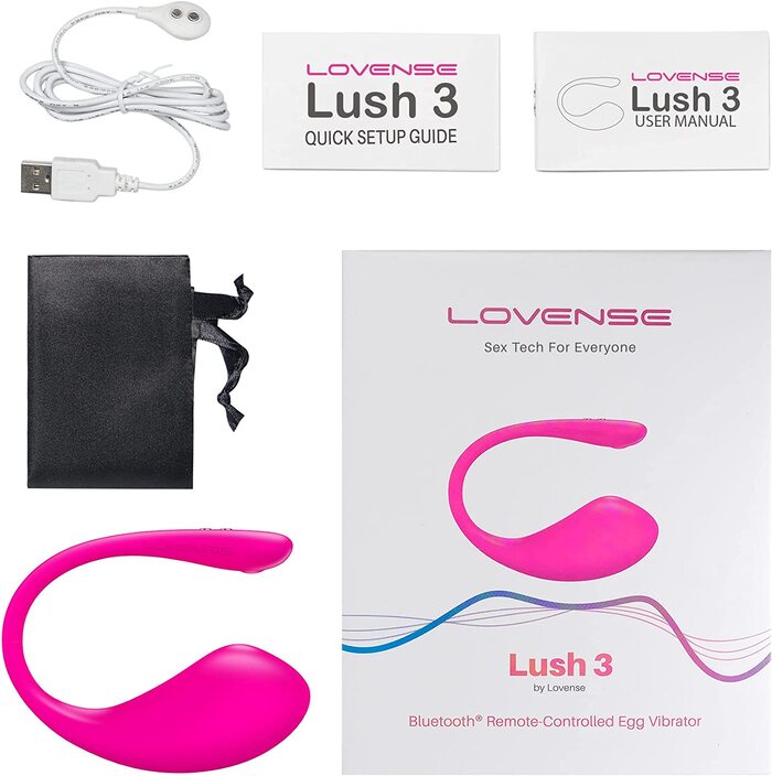 Lush 3 Vibrator Review - Lovense Lush 3 box, manual, charger and bag