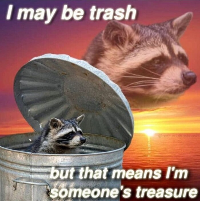 Positive Memes - trash and raccoon
