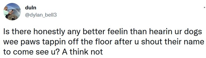Positive Memes - dogs wee paws tapping off the floor