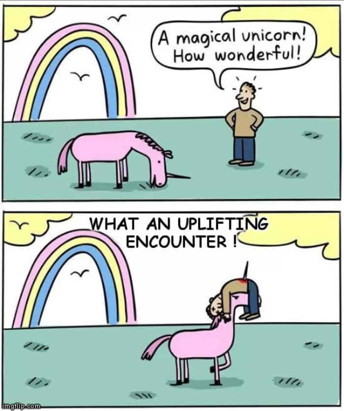 Positive Memes - uplifting encounter with magical unicorn