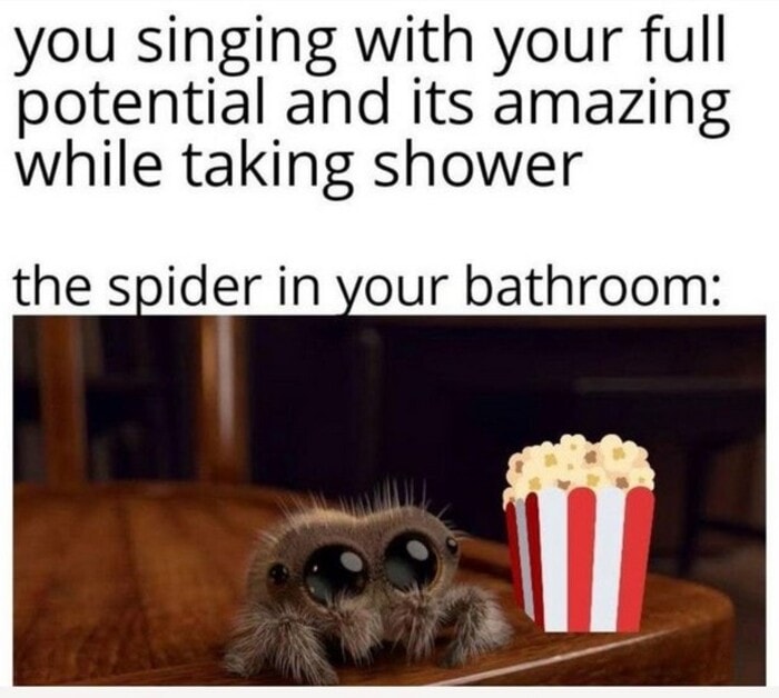 Positive Memes - spider in your bathroom