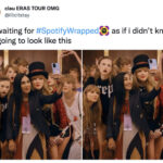 Spotify Wrapped Memes Tweets - all taylor swift