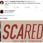Taylor Swift Ticketmaster Tweets Memes - scared