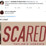 Taylor Swift presale