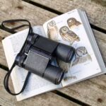 Cheap Date Ideas - Go Bird Watching