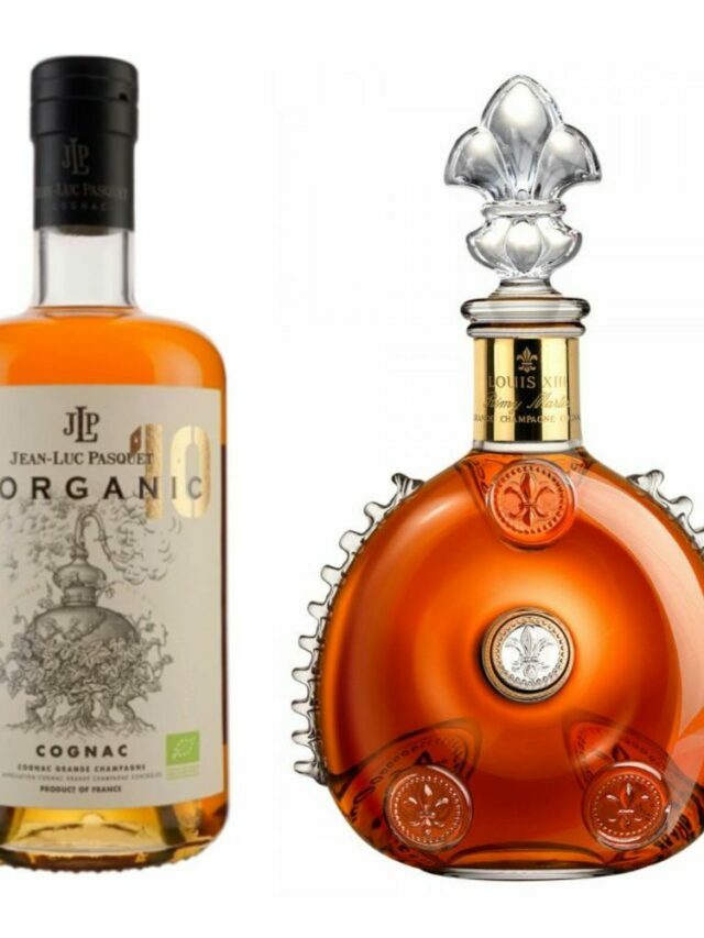 16 Cognac Brands Ranked Worst to Best