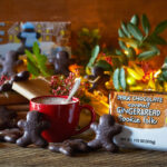 New at Trader Joes December 2022 - Dark Chocolate Covered Gingerbread Cookie Folk