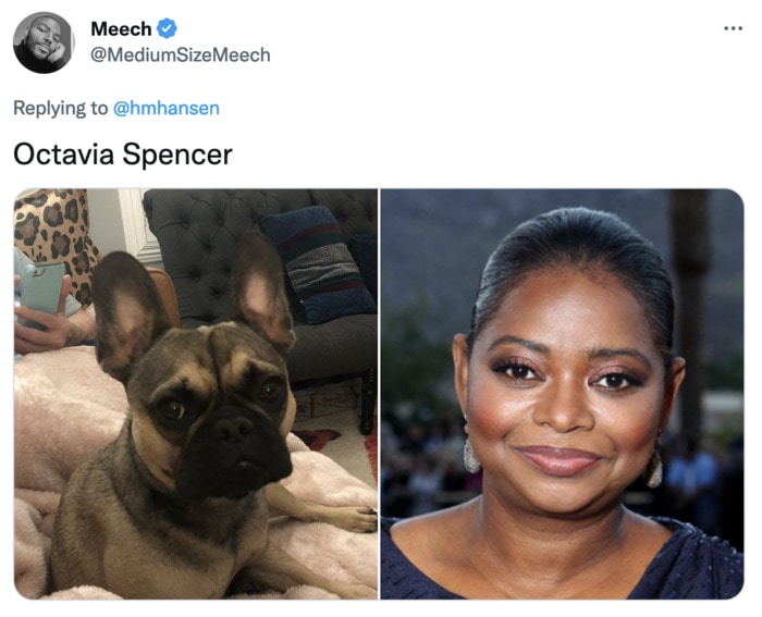 Funny Photos of Dogs That Look Like Celebrities - Octavia Spencer