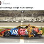 M&M Memes and Tweets - Kyle Busch Nascar rudolph design